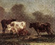 Cows in a Meadow af, POTTER, Paulus